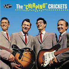 Chirping crickets (Vinile)