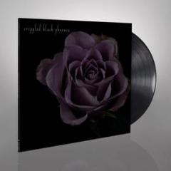 Painful reminder dead is dead (Vinile)