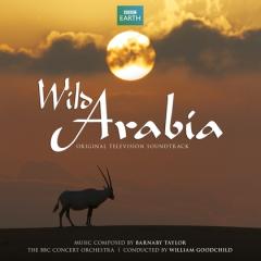 Wild arabia-original tv soundtrack