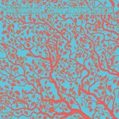 River without banks (Vinile)