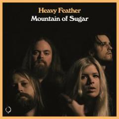 Mountain of sugar (Vinile)