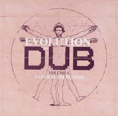 Evolution of dub vol.4