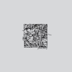 Concede to circumstance (Vinile)