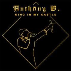 King in my castle anthony b dlp (Vinile)