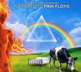 A tribute to pink floyd