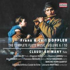 Flute music, vol. 6/10