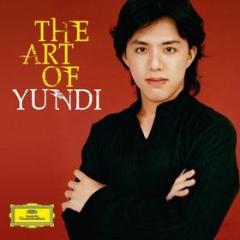 The art of yundi li