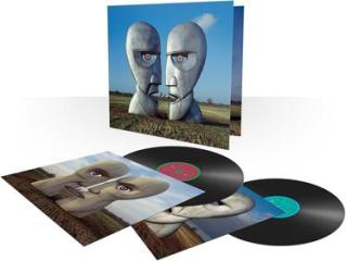 The division bell (Vinile)