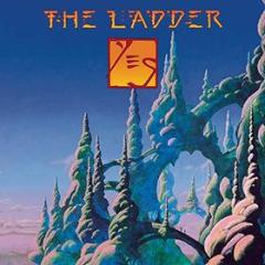 The ladder (2lp) (Vinile)