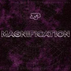 Magnification (Vinile)