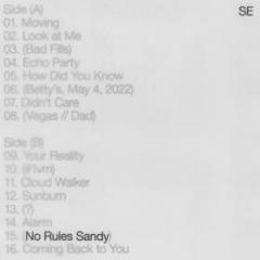 No rules sandy (Vinile)