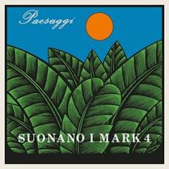 Paesaggi 1971 album cover (Vinile)