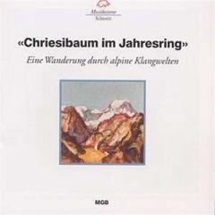 Chriesibaum im jahresring