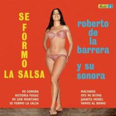 Se formo la salsa (Vinile)