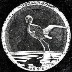 An - n u r (Vinile)
