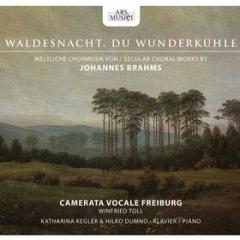 Brahms: waldesnacht