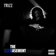 The basement (Vinile)