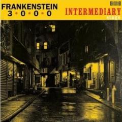 Intermediary stage (Vinile)