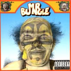 Mr. bungle