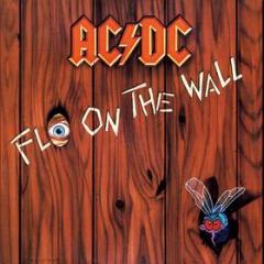 Fly on the wall (50th anniversary gold vinyl) (Vinile)