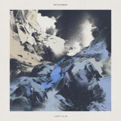 Light, flux (Vinile)