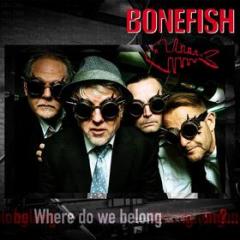 Where do we belong (Vinile)