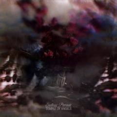 Endless pursuit (Vinile)