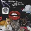 Perfect as cats (tribute to cure)