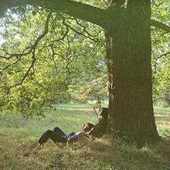 Plastic ono band 50 anniv.