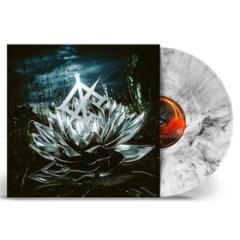 Darkbloom (Vinile)