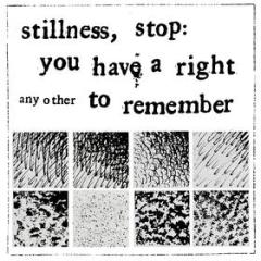 Stillness, stop: you have a right to remember (Vinile)