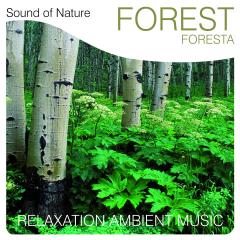 Sound of nature - forest