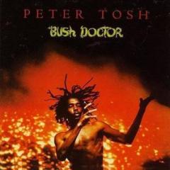 Bush doctor (180 gr. vinyl red transparent limited edt.) (Vinile)