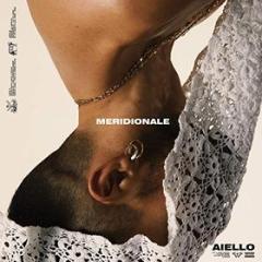 Meridionale (sanremo 2021) (Vinile)
