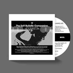 The soft bulletin companion