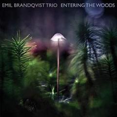 Entering the woods (lp) (Vinile)