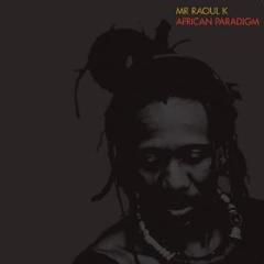 African paradigm mr raoul k dlp+mp3 (Vinile)