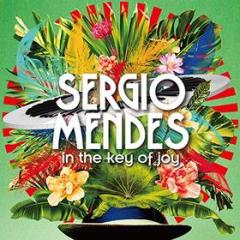 In the key of joy (Vinile)