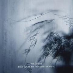 Hello future me - the companion (Vinile)