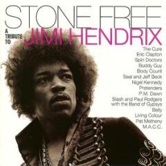 Stone free: a tribute to jimi hendrix (vinyl transparent,black) (indie exclusive (Vinile)