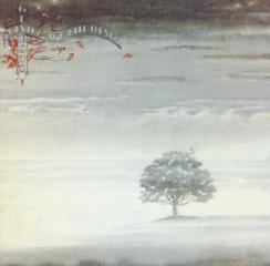 Wind & wuthering (Vinile)