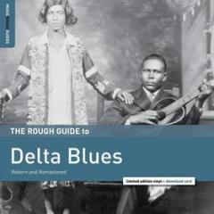 The rough guide to delta blues [lp] (Vinile)