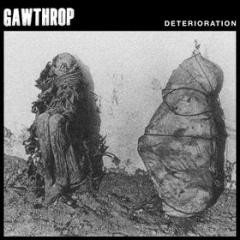 Deterioration (Vinile)