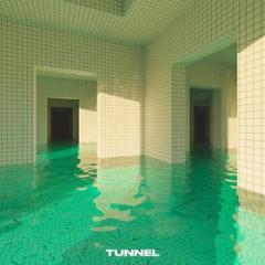 Tunnel (Vinile)