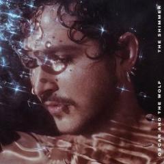 The shimmer (Vinile)
