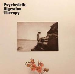 Psychedelic digestion therapy (Vinile)