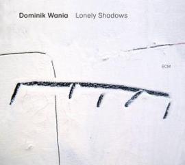 Lonely shadows (Vinile)