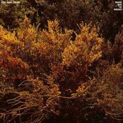 Tracing back the radiance (Vinile)