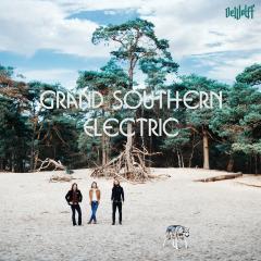 Grand southern electric (Vinile)