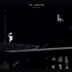 The amazing-picture you      cd